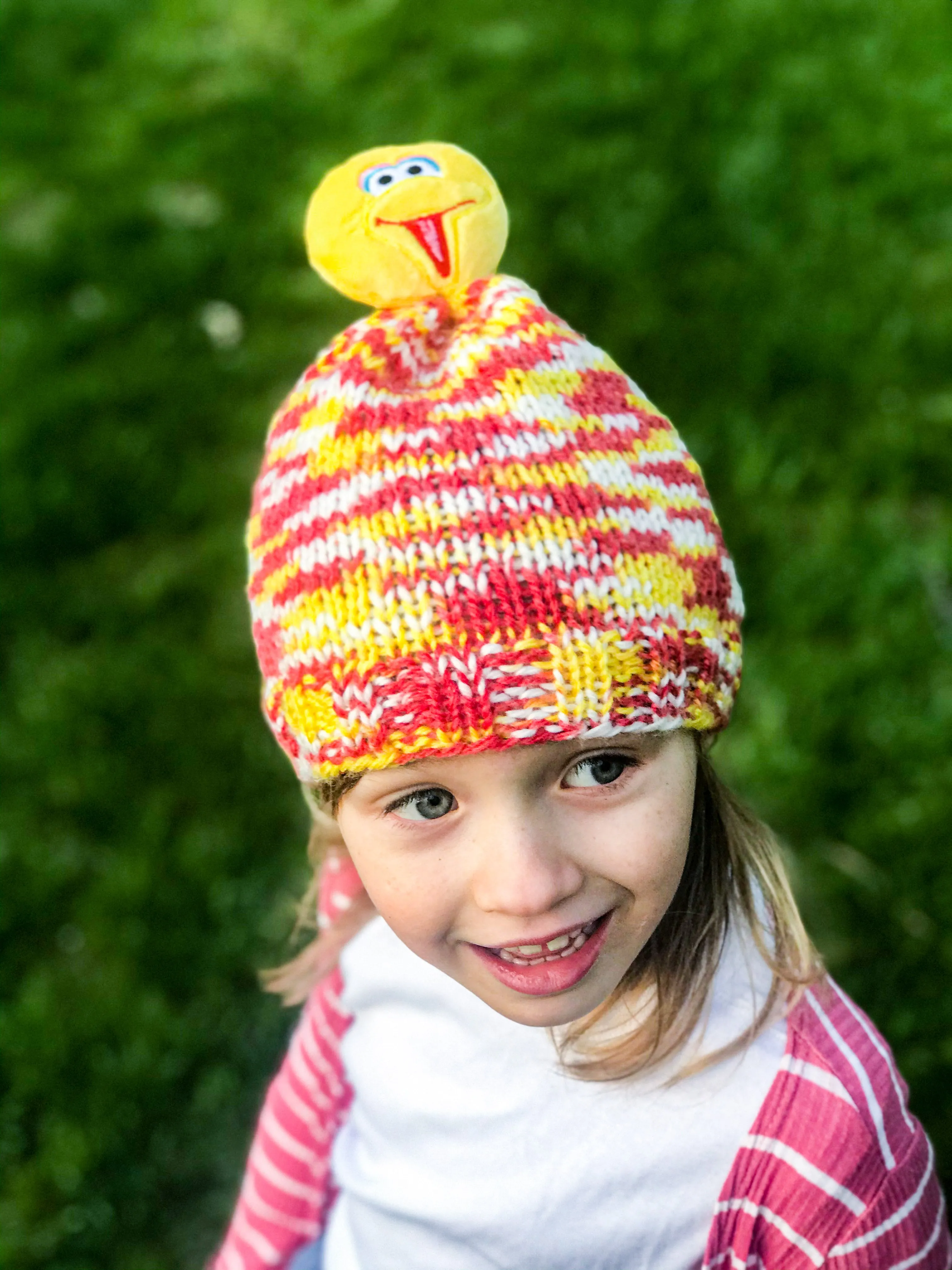 Big Bird Knit Hat