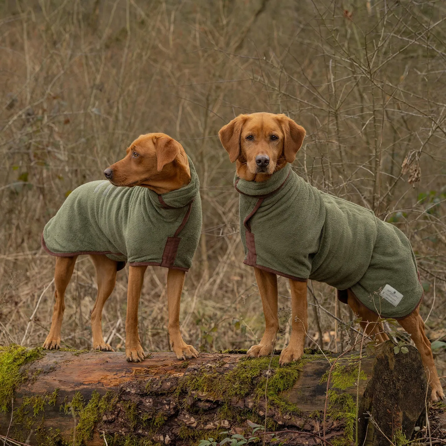 NEW Country Dog Drying Coat - Moss