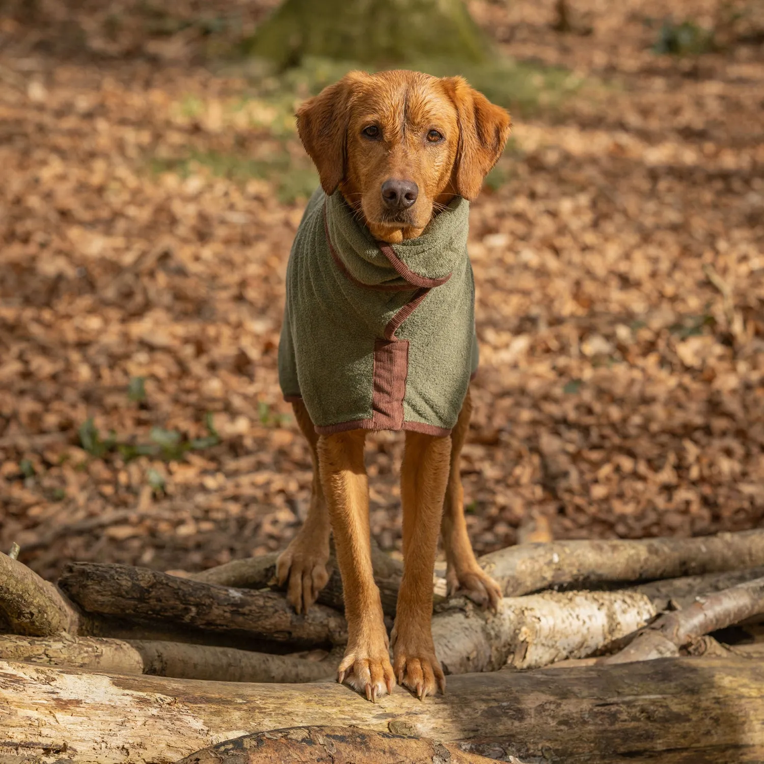 NEW Country Dog Drying Coat - Moss