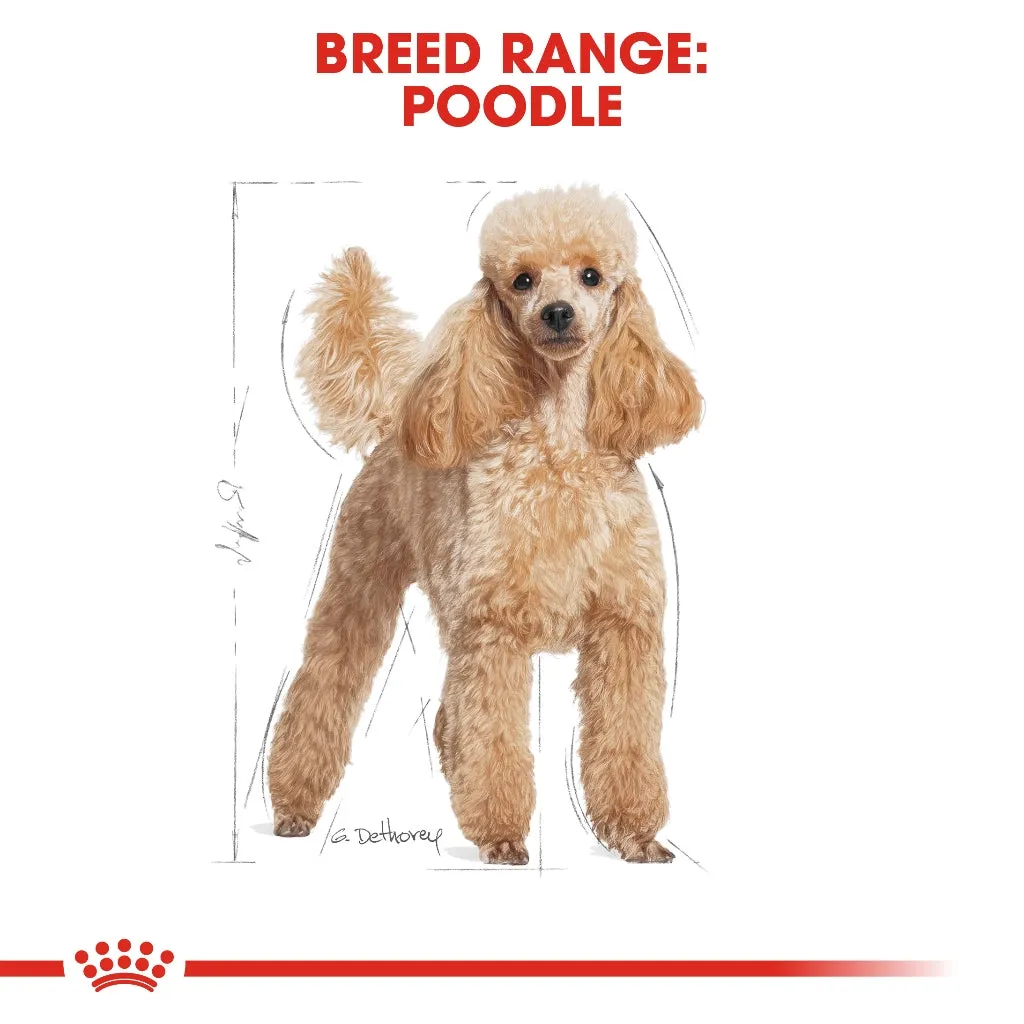 Royal Canin Poodle Adult 1.5kg Dry Dog Food - Breed Health Nutrition